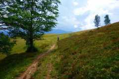 Rumänien-Single-Trail-Karpaten